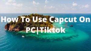 How To Use Capcut