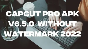 Capcut Pro APK