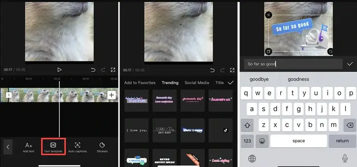 capcut tiktok template 3