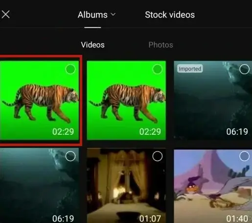 how to do green screen on capcut