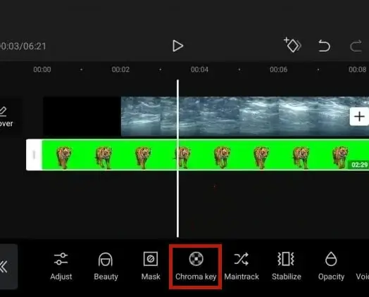 how to get rid of green screen on capcut