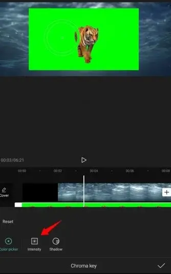 how to green screen in capcut