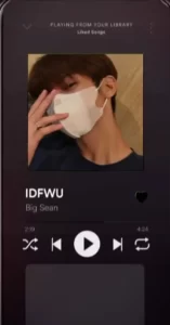 IDFWU Big Sean CapCut Template