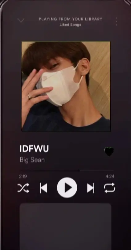 IDFWU Big Sean CapCut Template