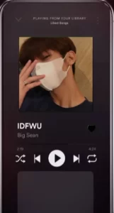IDFWU Capcut Template