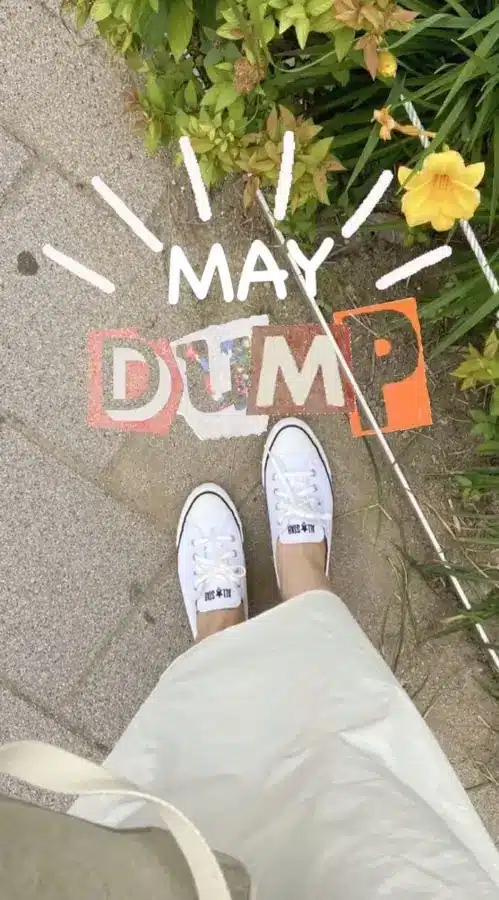 May Dump CapCut Template