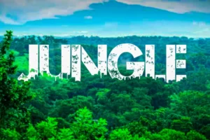 Urban Jungle Capcut Template