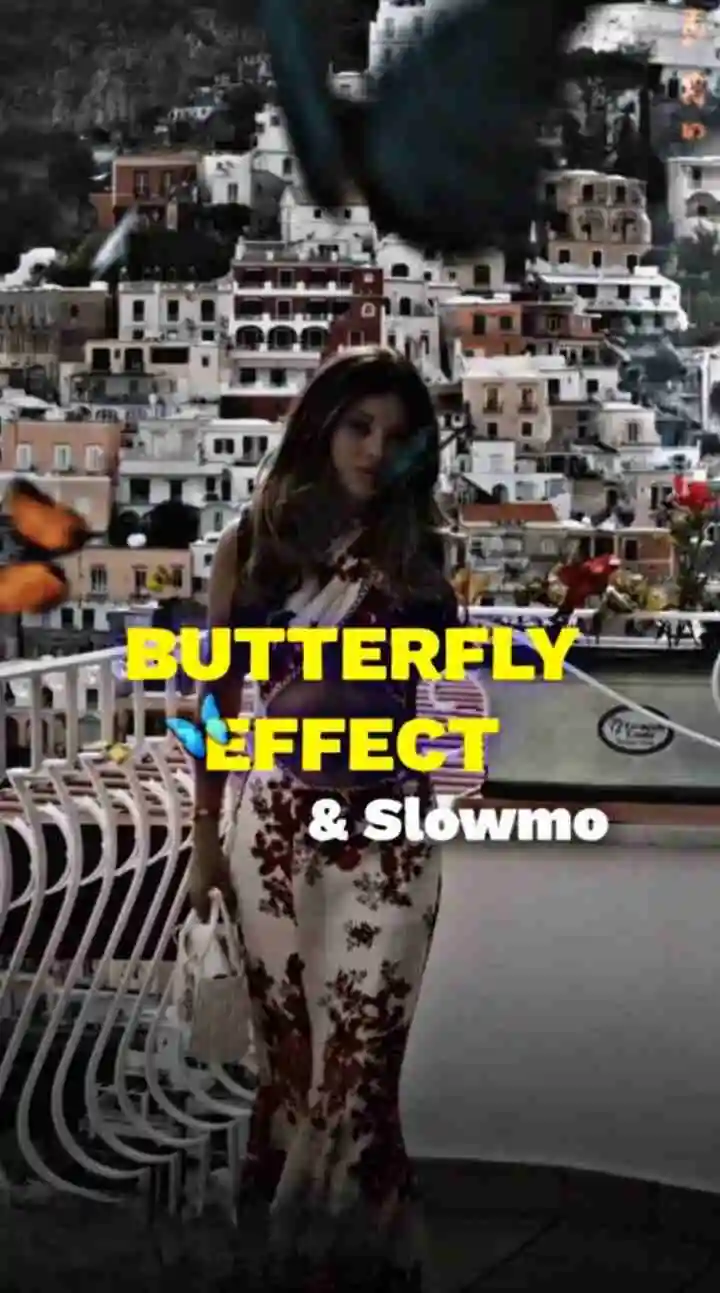 Butterfly CapCut Templates