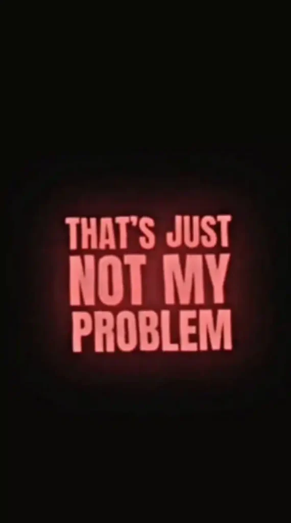 no-my-problem-Capcut-template